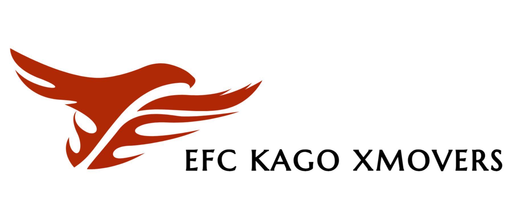 EFC 艾博国际